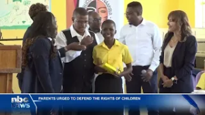 Learners turn out for Constitution Day in Opuwo - nbc