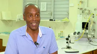 Why Jamaica's Blue Mountain Coffee Is Becoming Harder to Grow | Brewed by the Heat | TVJ News