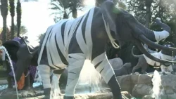 Boo at the Zoo returns to Audubon for its 31st year
