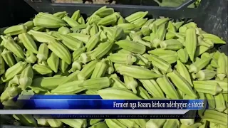 Fermeri nga Kozara kërkon ndërhyrjen e shtetit