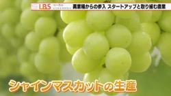 【LBS】異業種からの参入 スタートアップと取り組む農業