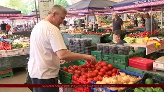 Dobar urod, ali slabija prodaja na osječkoj tržnici – najpopularnije lubenice i dinje
