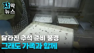 [Subtitled News] A Changing Chuseok: Preparing for the Holiday with Family Regardless