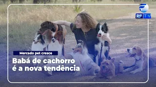Dog nannies are the new profession in the pet market