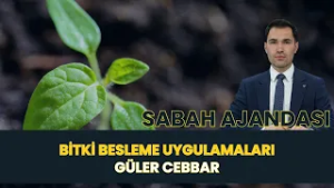 SABAH AJANDASI I BİTKİ BESLEME UYGULAMALARI