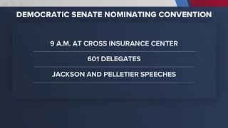 Maine Democrats to elect candidate replacing Graham Platner on November ballot tomorrow