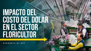 Economy Today | Falling Dollar and Rising Costs in the Flower Industry