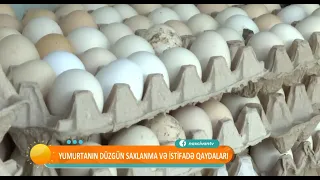 Yumurtanın düzgün saxlanma və istifadə qaydaları