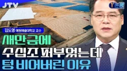 [1분 논평] "30년간 수십조 쏟아부었는데" 군산·김제·부안 밥그릇 싸움에 재 뿌려진 새만금의 비극 I 김도영 예원예술대학교 교수