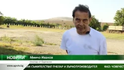Как съжителстват пчелар и зърнопроизводител