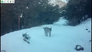 Լուսանի զբոսանքը «Խոսրովի անտառ» պետական արգելոցի տարածքում