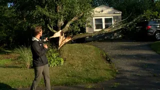 Tree falls onto Cape Elizabeth home