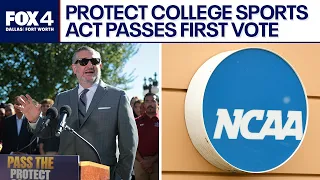 College sports regulatory bill passes first Senate vote