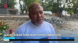 STHI - Palu Environmental Agency Explains GOR Park Tree Management
