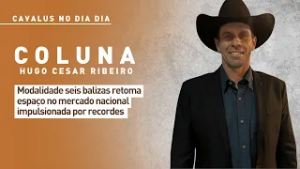 Cavalus no Dia Dia: modalidade 6 balizas retoma espaço no mercado nacional