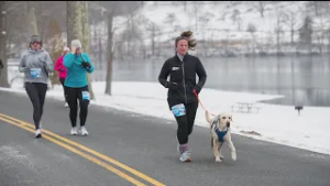Nyberg: Lake Waramaug Polar Bear Run is for the dogs