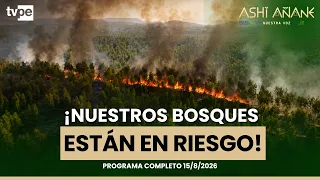 Forest fires and clean air: solutions to protect our forests | Environmental Special
