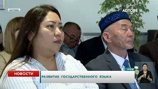 Development of the state language
