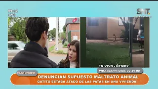 Family reports alleged animal abuse and threats in Ñemby