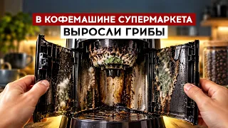 Mushrooms grew in a supermarket coffee machine
