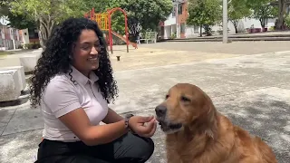 #EnlaceTrece | Empanadas for Pets