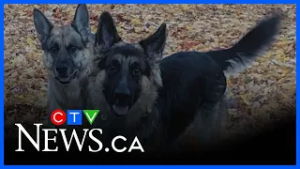 ‘Half my family died that day’