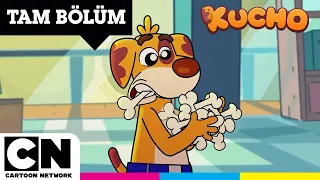 KUCHO | Görünmez Göktaşı | TAM BÖLÜM | @cartoonnetworkturkiye