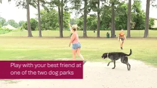 Park of the Month - Chesapeake City Park