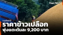 Paddy prices soar to 9,200 baht per ton in Uthai Thani - Wan Mai Thai PBS - Oct 22, '26
