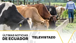 Latest News #National Ecuador | Televistazo Ecuavisa October 1, 2026
