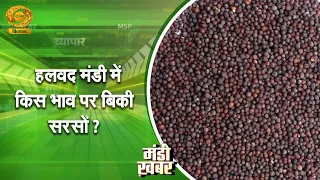 Mandi Khabar: At what price was mustard sold in Halvad Mandi? | DD Kisan | 23/09/2026