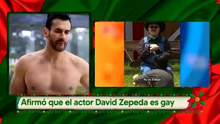 Pedro Sola afirma que David Zepeda es gay | Vivalavi