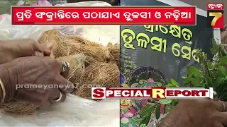 ବାଲେଶ୍ୱରରୁ ଶ୍ରୀକ୍ଷେତ୍ରକୁ ଭକ୍ତିର ସେତୁ, ଘର ଅଗଣାର ତୁଳସୀ-ଫୁଲରେ ହେଉଛି ମହାପ୍ରଭୁଙ୍କ ସେବା....