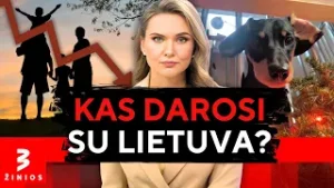 Šuo vietoj kūdikio: patogumas ar pavojingas lūžis visuomenėje? Jaunimas bėga nuo tėvystės!