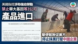 美國指華大基因等三間中國公司涉助強迫勞動　禁止產品進口美國｜國際新聞｜無綫新聞｜TVB News｜2026/10/29