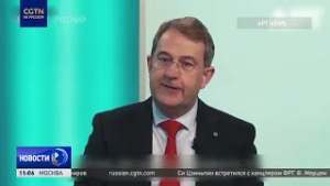 Эксперт: компании Германии наращивают инвестиции в экономику Китая