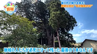 Catch-up streaming [Look For! Miyagi] The charm, history, and culture of Zao Town, Miyagi Prefect...