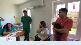 Convenio entre UOH y Machalí beneficiará a mascotas y fortalecerá formación veterinaria