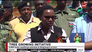 5,000 trees seedlings planted at King’ong’o prison