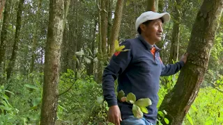 #ProtagonistasDeNuestroTiempo | PINPEP Quetzaltenango