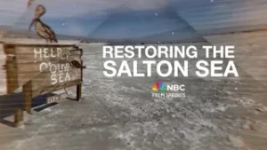 Restoring the Salton Sea: Energy, Developments and Solutions