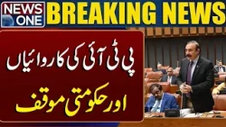 PTI's Activities and Government's Response | Breaking News | News One