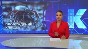 Новости Калининграда — итоги дня, 25 февраля 2026 каскад тв