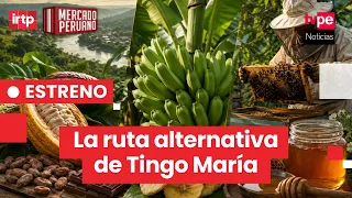 Honey, chocolates, and plantain chips from Tingo María | "Peruvian Market"
