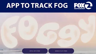 San Franciscans launch the 'Foggy' app | KTVU
