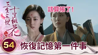 白淺恢復記憶恢復記憶第一件要做的事！該去找素錦算帳了！【三生三世十里桃花】精華 EP54-2 楊冪、趙又廷、迪麗熱巴、高偉光、張智堯 @ctvdrama_classic