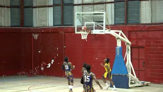 Basketball Pacers Cruise Past Royalty