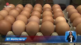 Food basket in July was $741.41 – El Noticiero primetime broadcast 08/17/26