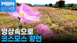 Yeoju Daesin Island 'Cosmos Feast' [Into the MBN Video]