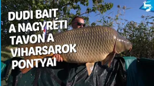 A Viharsarok pontyai: Dudi Bait a nagyréti tavon